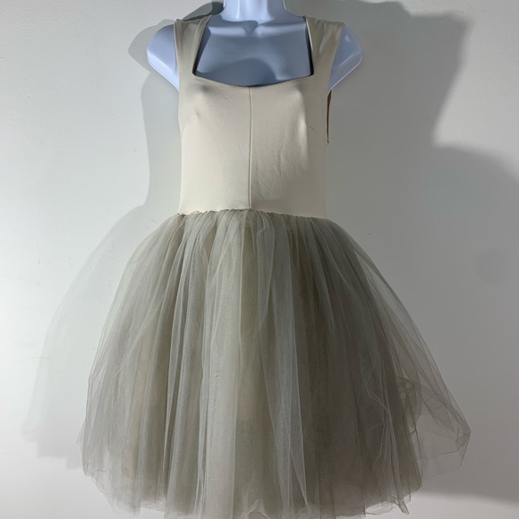 Allison Paige Dresses & Skirts - NWT Allison Paige Tulle Skirt Mini Dress